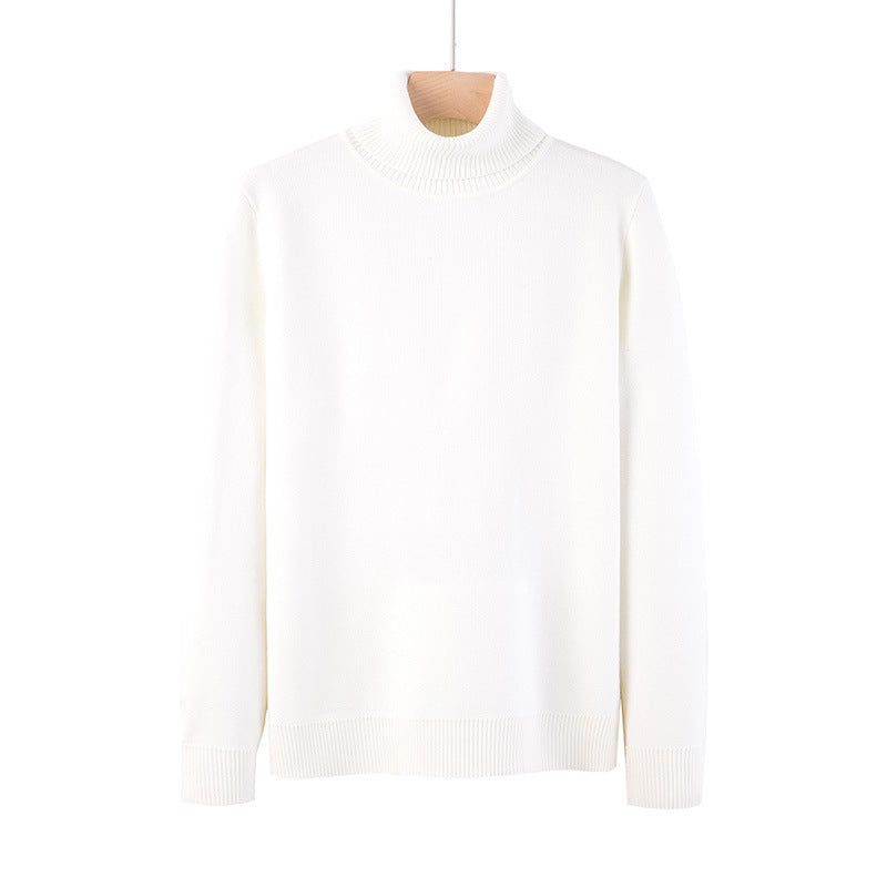 Rollkragenpullover - Arvid