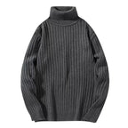 Herren-Rippstrick-Rollkragenpullover - Darel