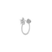 Silber