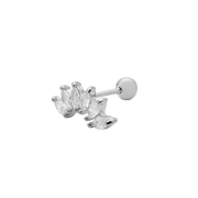 Silber