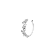 Silber