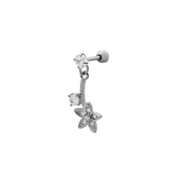 Silber