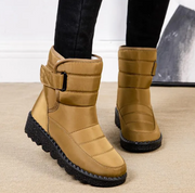 Khaki/Gelb
