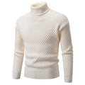 Herren-Rollkragenpullover - Darnel