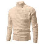 Herren-Rollkragenpullover - Darnel