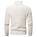 Herren-Rollkragenpullover - Darnel
